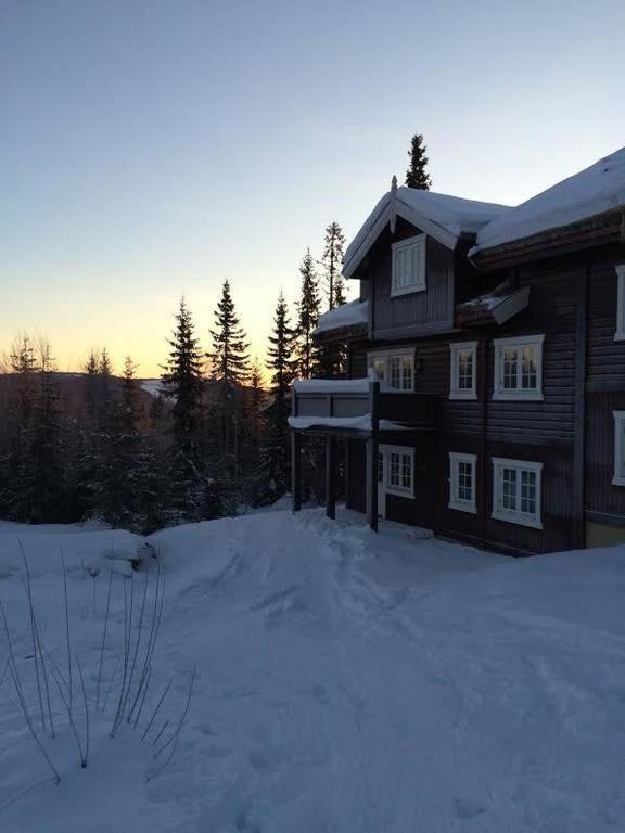 Flat In Trysil Ski In Ski Out And Sauna Luaran gambar